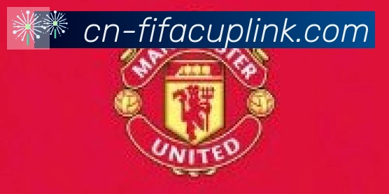 FIFA世界杯比分官方网站合作伙伴